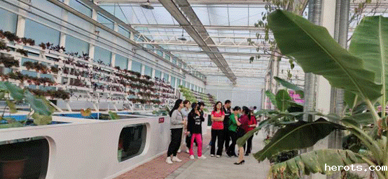 微信图片_20201010193918